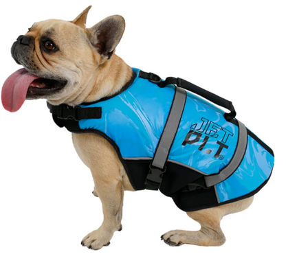 Jetpilot Dog Life Jacket S22 - Small, Blue image
