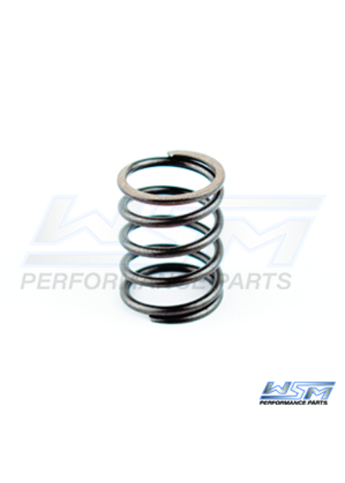 Sea-Doo Rotary Shaft Spring