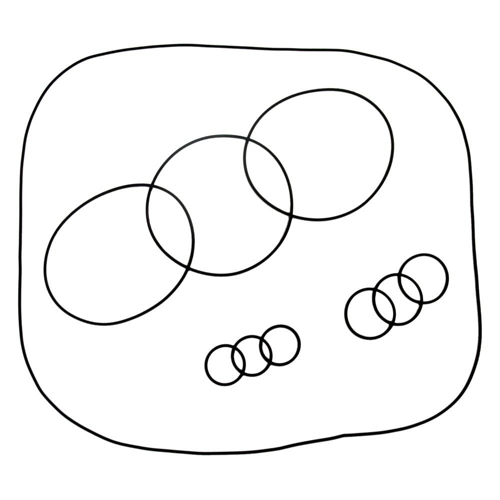 Kawasaki 1100 ADA Racing O-Ring Kit image 1