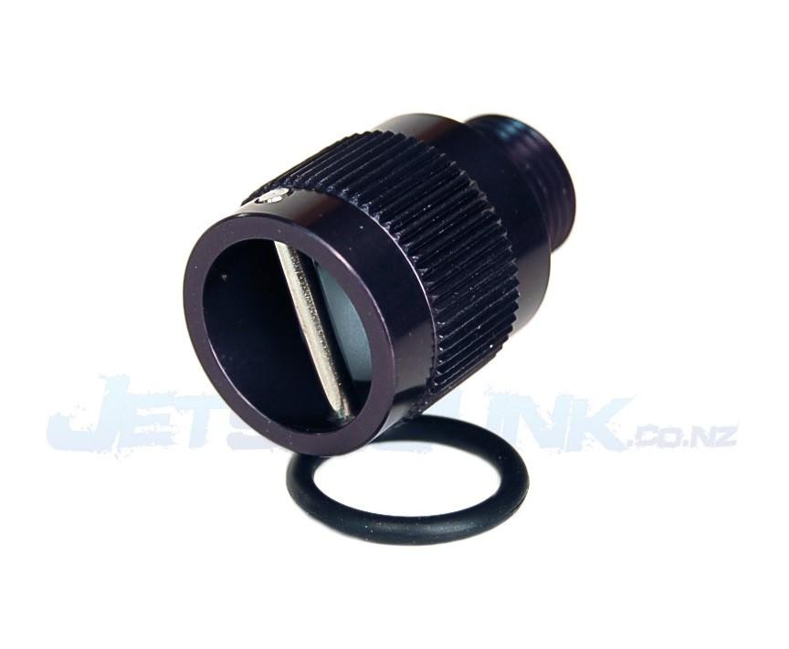 Yamaha Versi Plug image 1