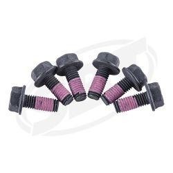 Sea-Doo Magneto Screw Kit image 0